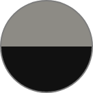 プレシャスメタル×ブラック〈M76〉特別設定色