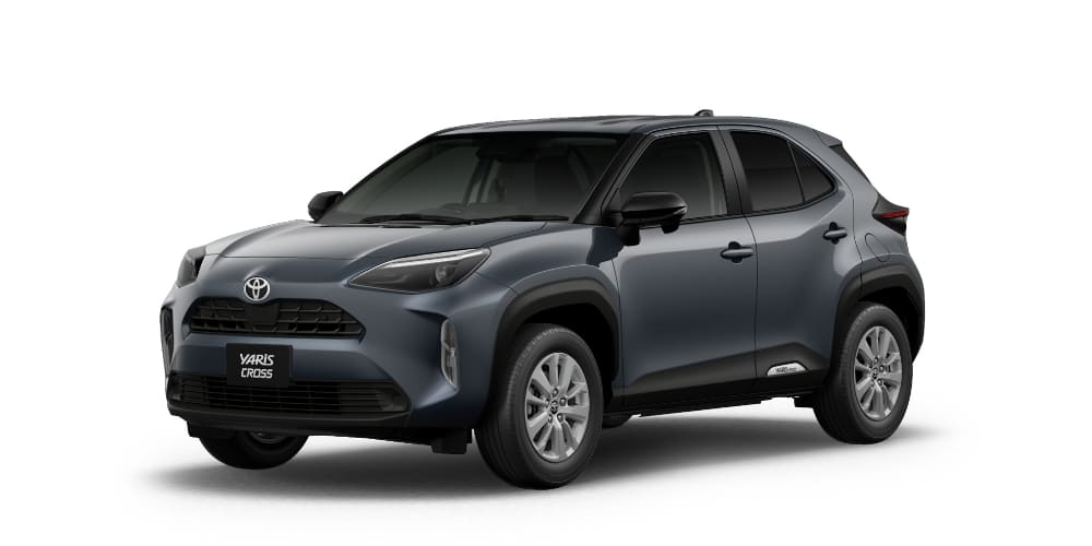 マッシブグレー〈1L6〉