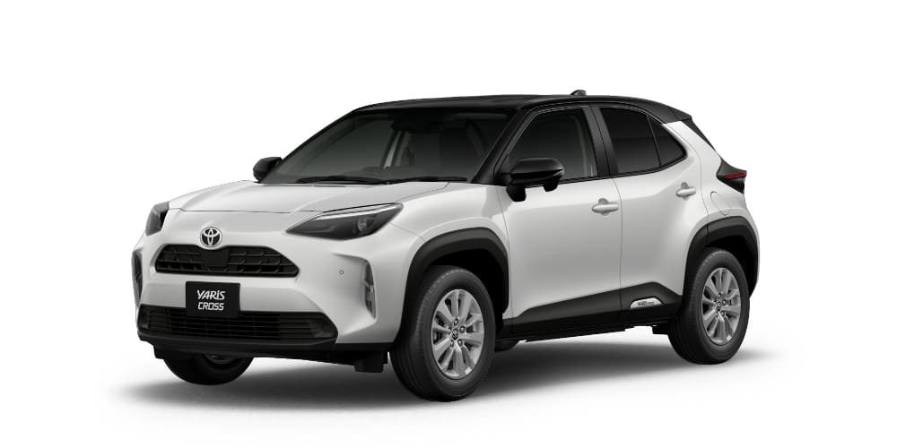 ブラックマイカ×プラチナホワイトパールマイカ［2PU］