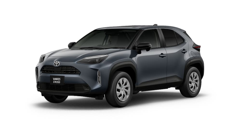 マッシブグレー〈1L6〉