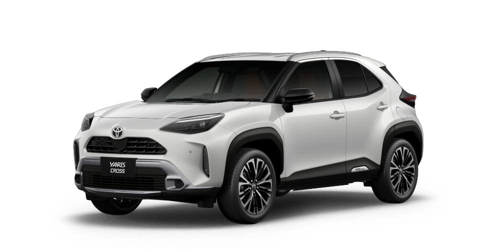 プラチナホワイトパールマイカ〈089〉