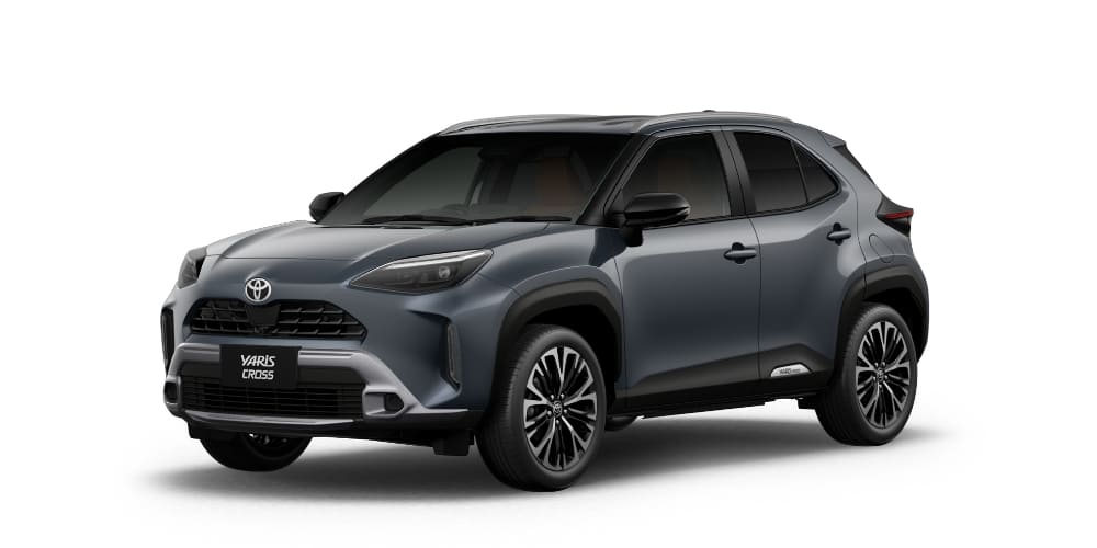 マッシブグレー〈1L6〉