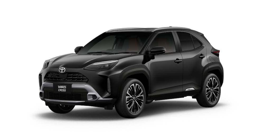 ブラックマイカ〈209〉