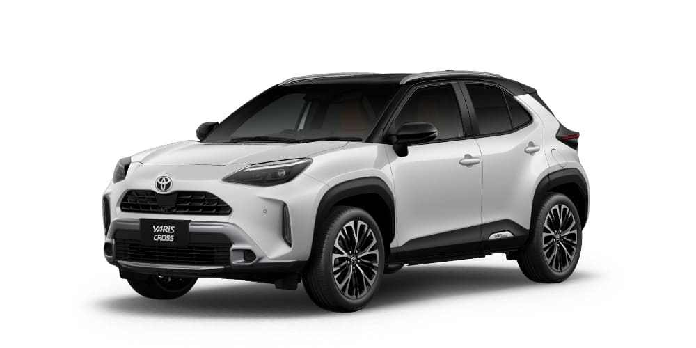 ブラックマイカ×プラチナホワイトパールマイカ［2PU］